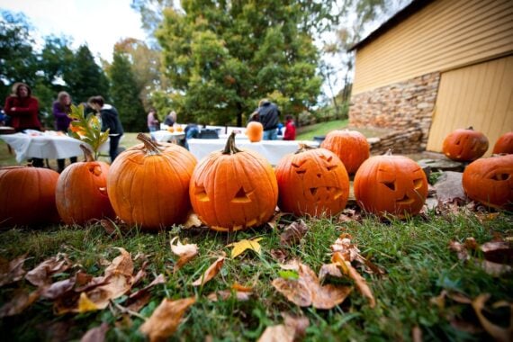 Old Salem Museums & Gardens