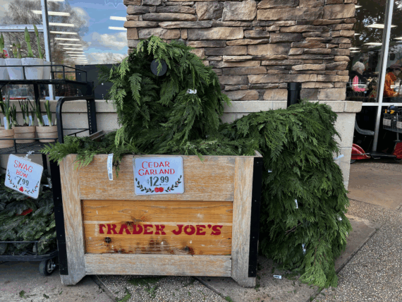 Trader Joe's Garland