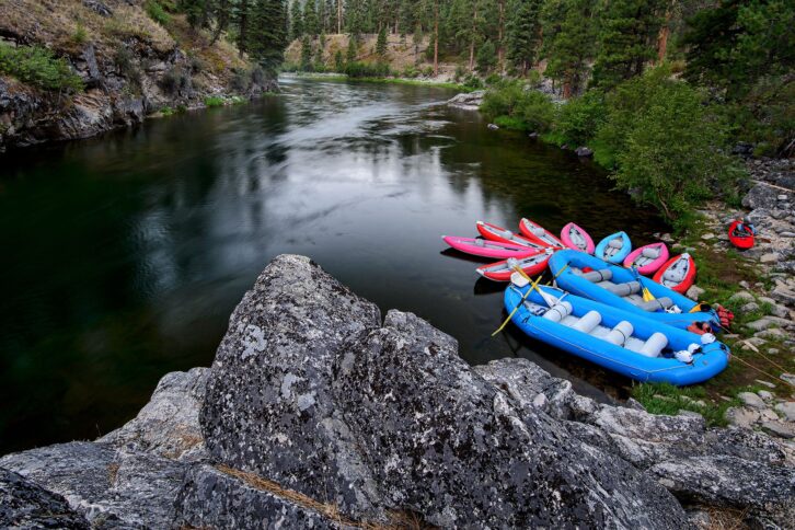 Inflatable rafts, small and large sizes, along edge of Salmon River, Idaho, grey rocks in the foreground, surrounded by forest foliage