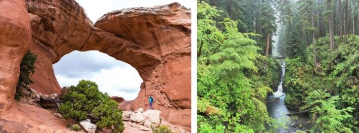 a stone arch, a leafy forest