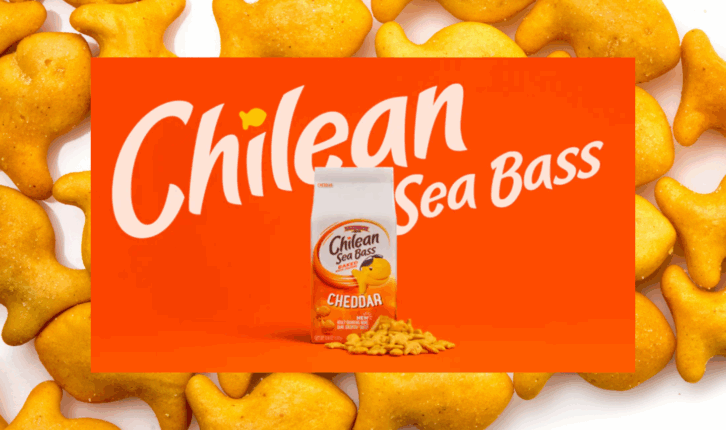 New Goldfish Branding