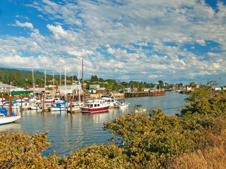 Brookings, Oregon, USA-June 20, 2008: This harbor is in Brookings, Oregon there are many leisure craft as well as commercial vessels this harbor is visable from many of the residence on the hillside above and there are many commercial outlets in the harbo