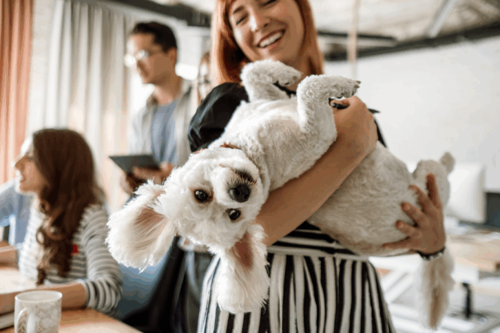 Happy female employee holding her dog at the office