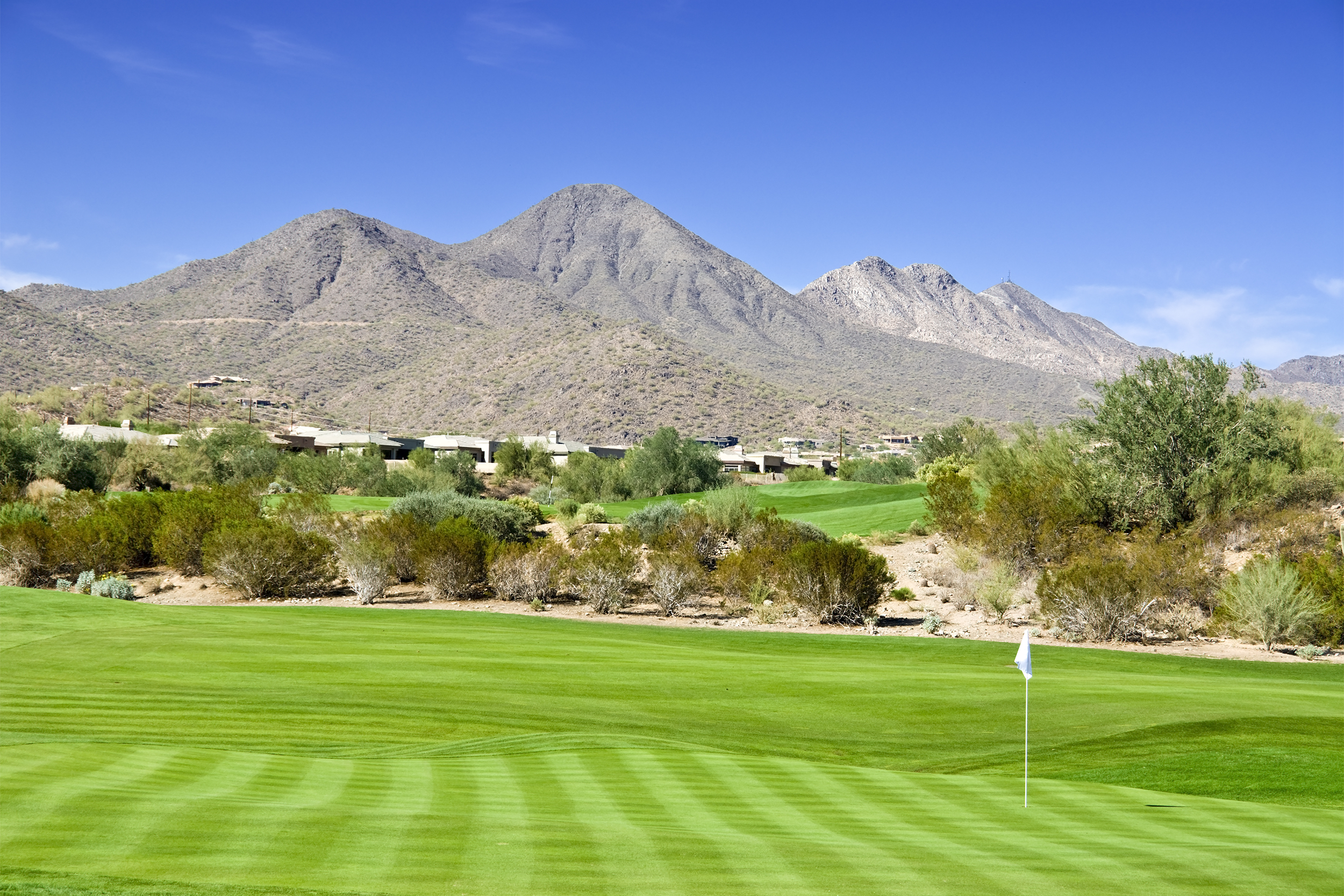 Phoenix golf course