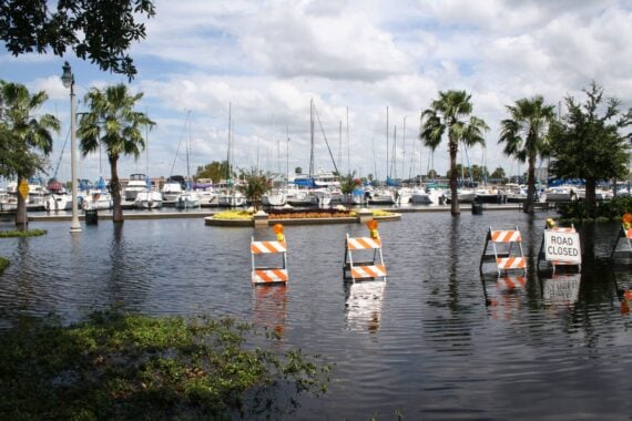 Road closed with flooded waters, near marina with lines of boats, palm trees scattered around, on a sunny day