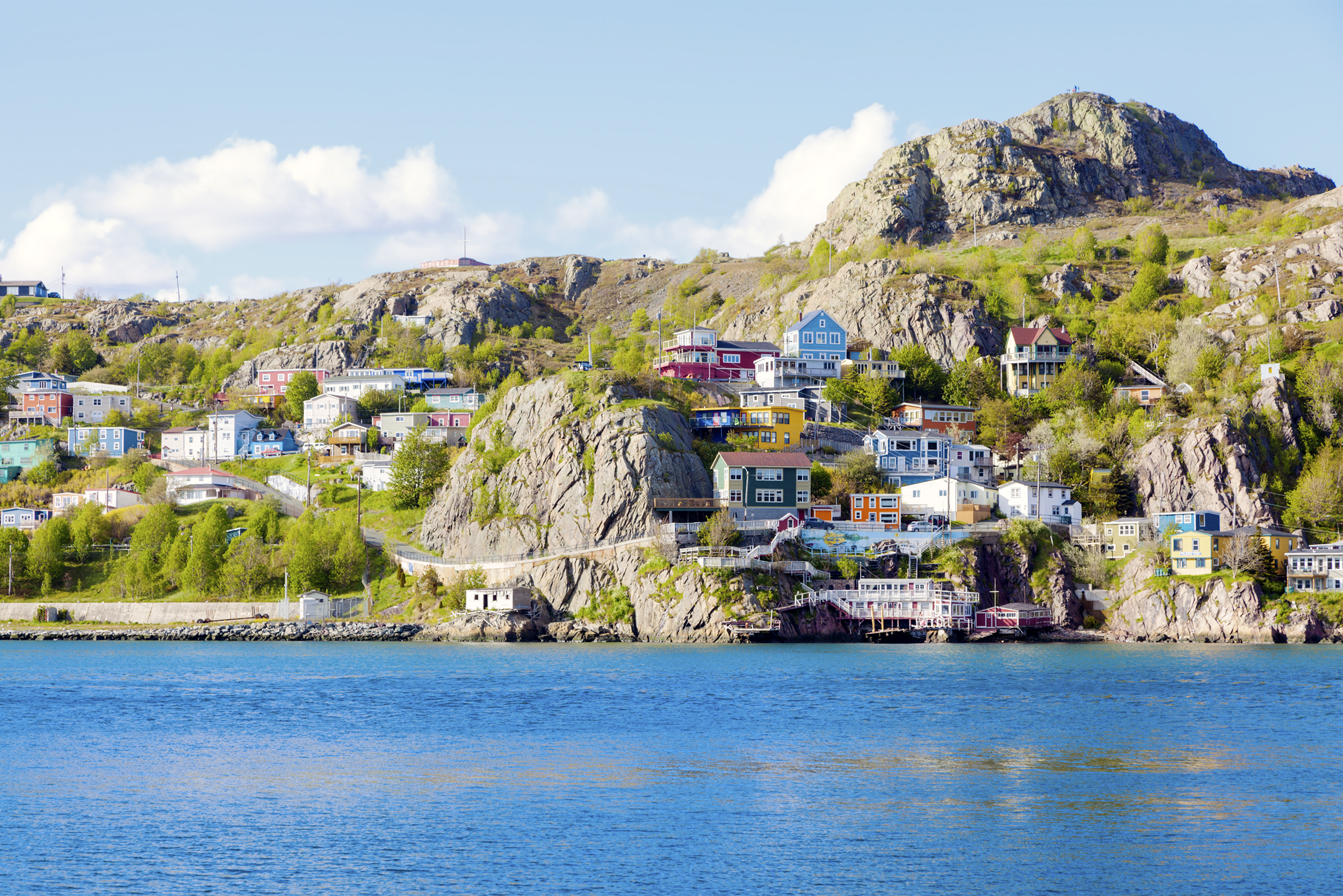 Newfoundland