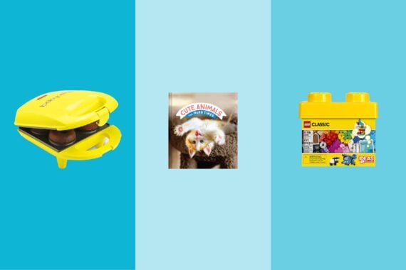 Three gift items on tri-toned blue hues, a donut maker, a cute animals book, and a LEGOS set
