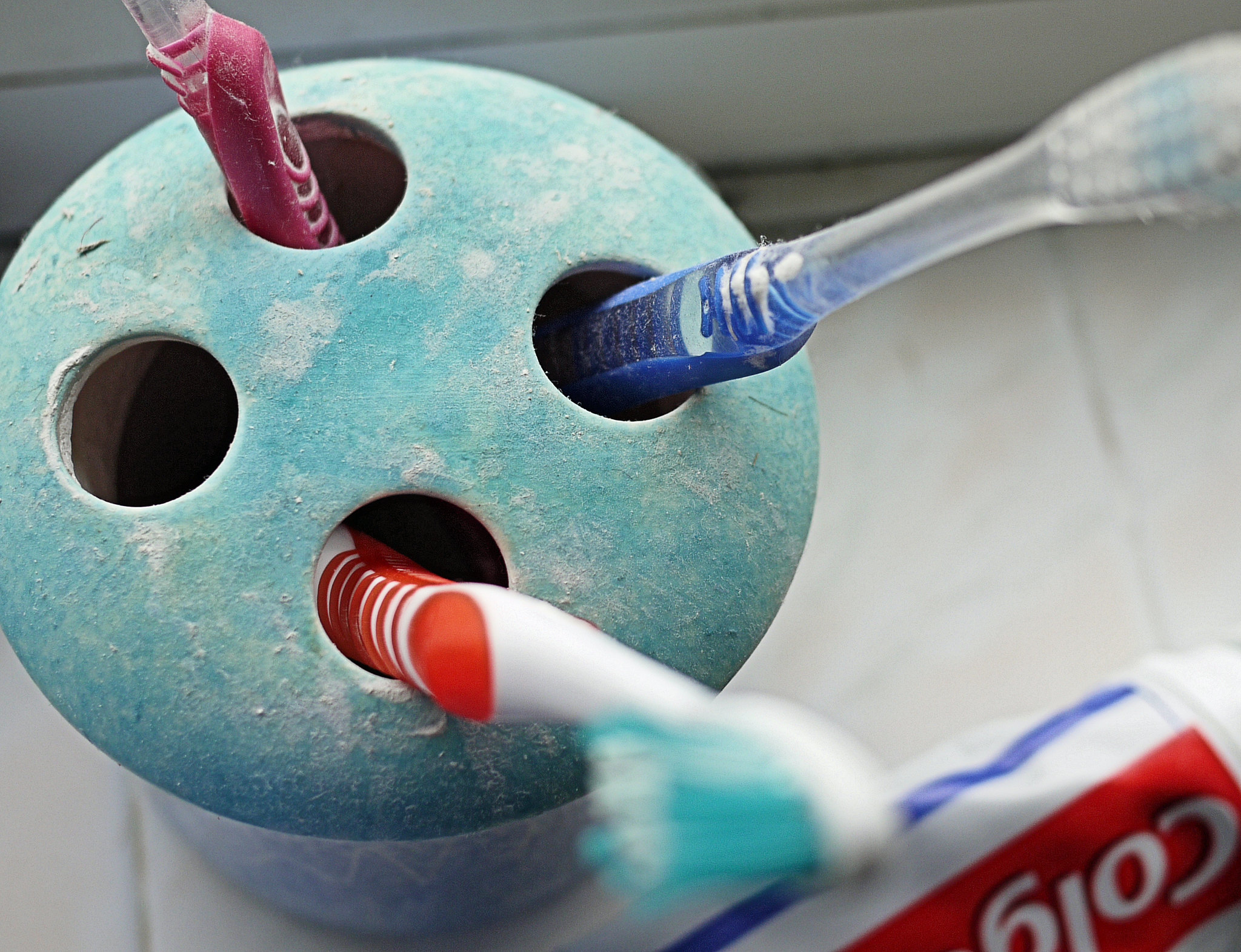 Three Toothbrushes in a Blue Toothbrush Divider