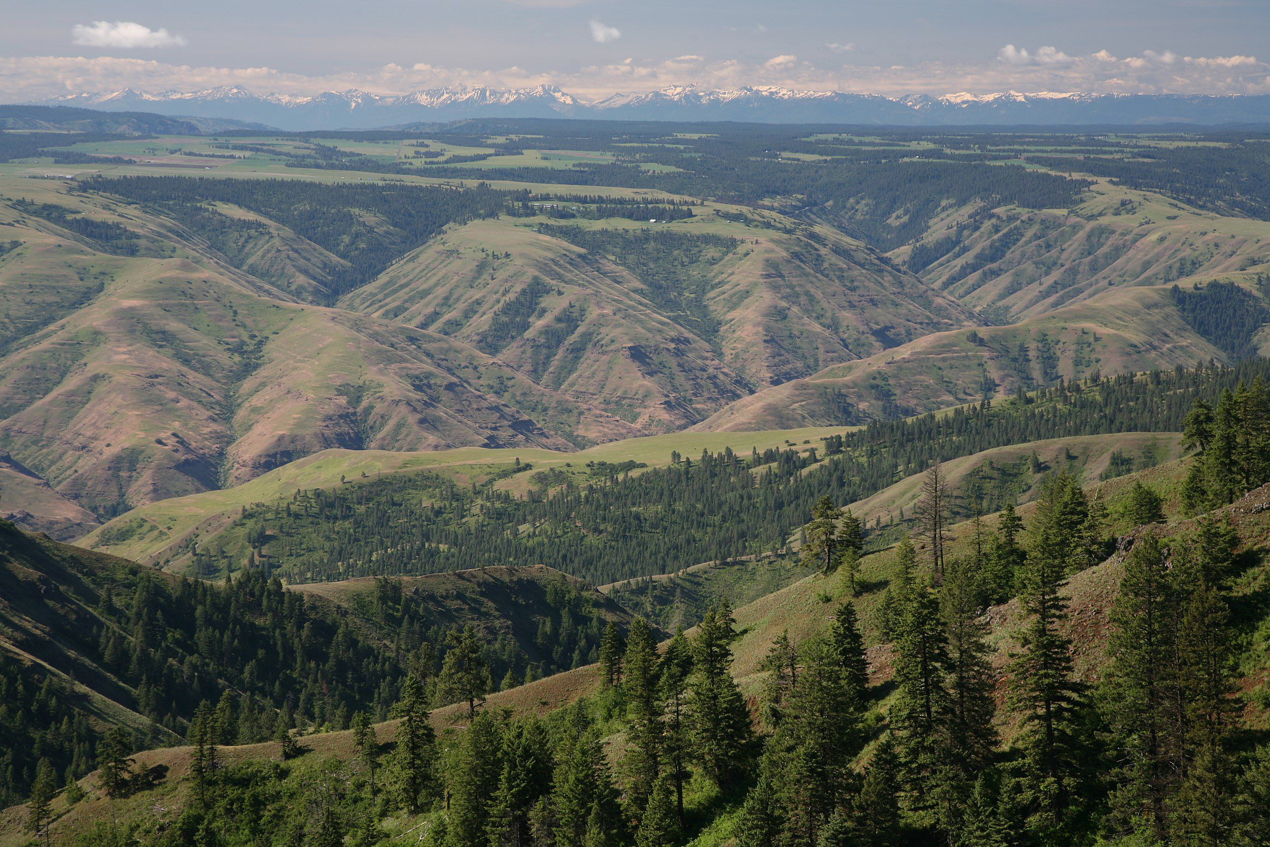 Scenic view of green hills and mountains Umatilla National Forest