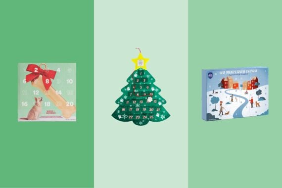 2022 Advent Cals for Dogs