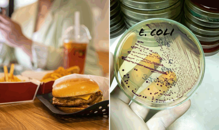 Fast food and E. Coli