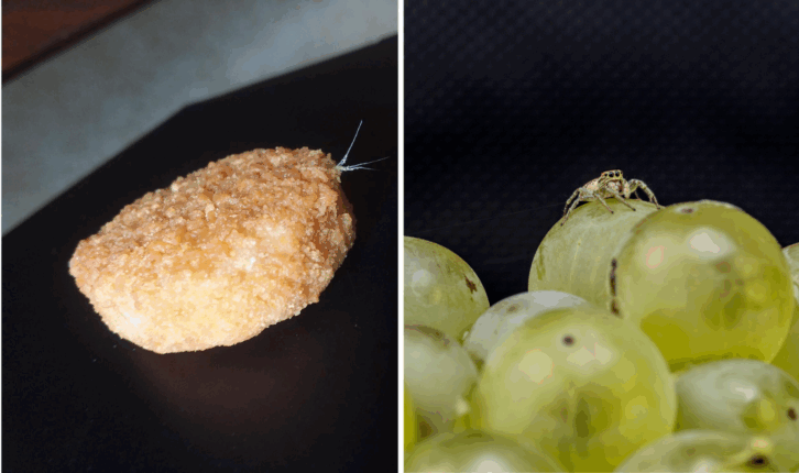 Feather in McDonalds McNugget and Spider on Grapes