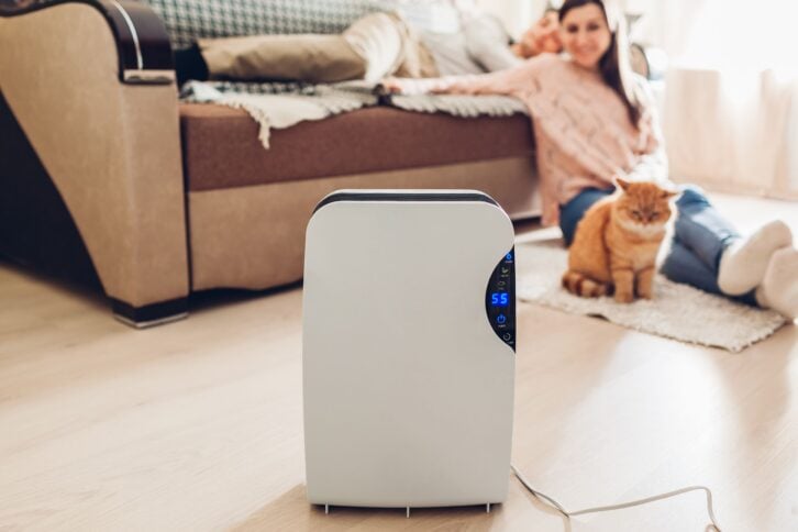 woman and her cat sitting on the floor of living room with dehumidifier