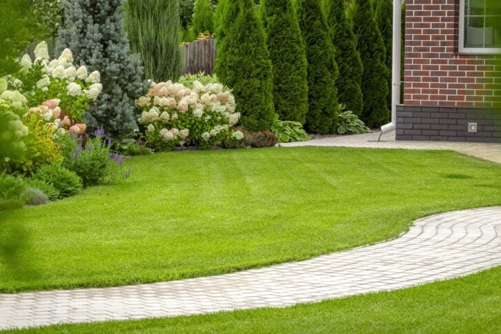 Freshly cut grass in the backyard of a private house.