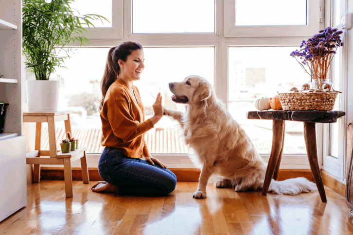 woman giving golden retriever high five
