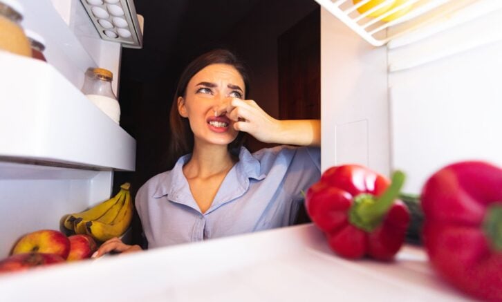 Foul food. Young woman closing nose near refrigerator, feeling bad smell, view from inside