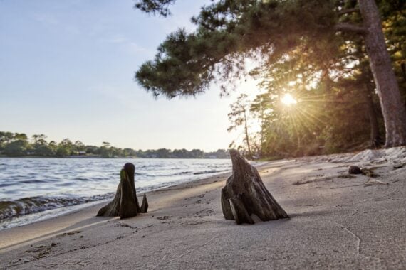 Chesapeake Bay beach during sunset.
