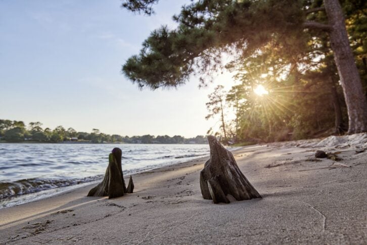 Chesapeake Bay beach during sunset.