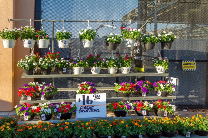 Victorville, CA, USA – June 6, 2021: Hanging baskets and potted flowers display at the garden center at Home Depot in Victorville, California.