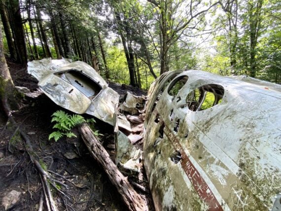 Plane crash wreckage with forest in background