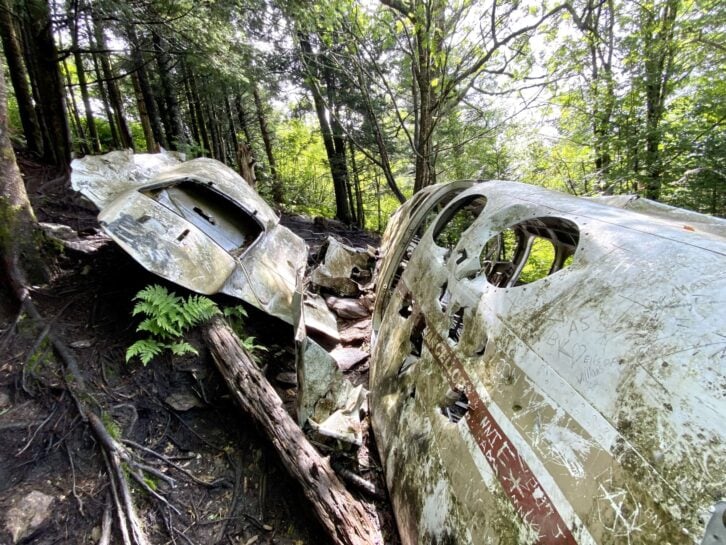 Plane crash wreckage with forest in background