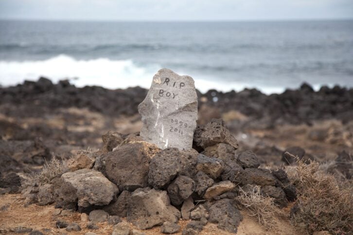 Pet grave by the ocean.