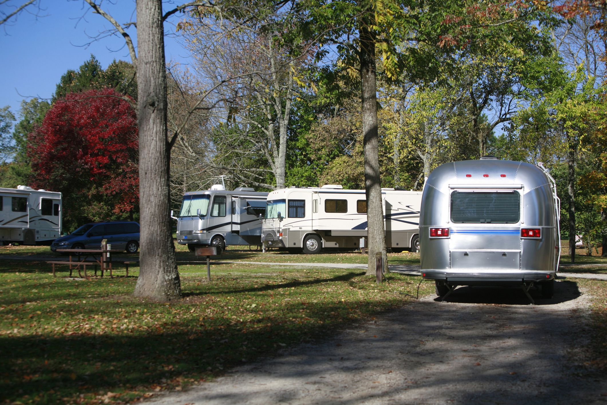 Several recreational vehicles parked at a wooded campsite in autumn.