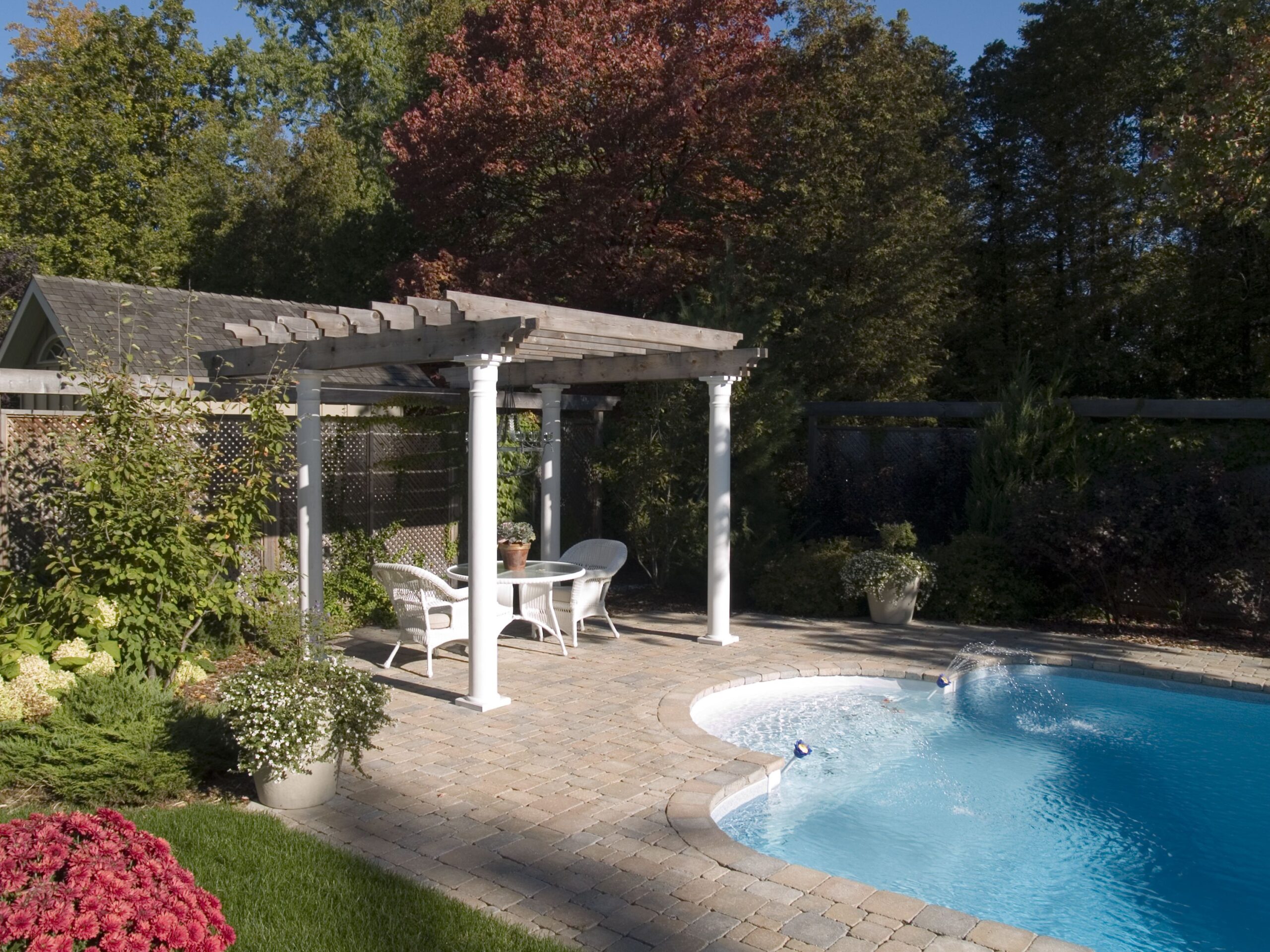 backyard pool and pergola