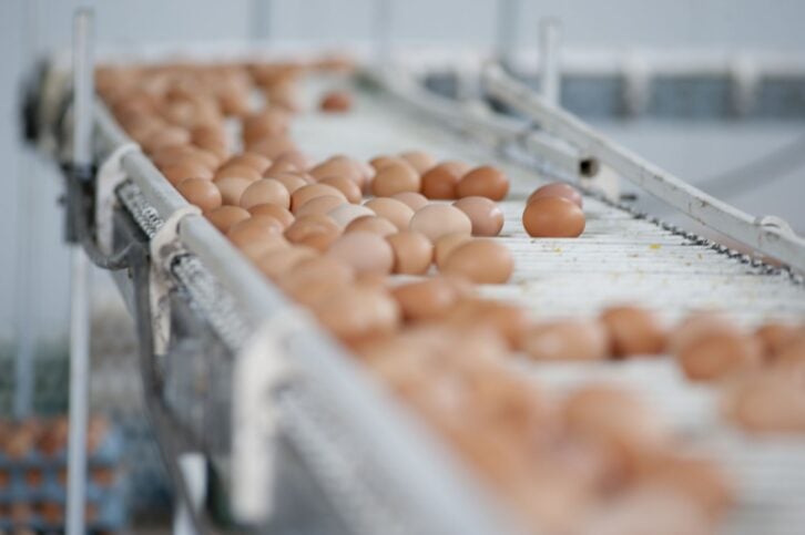 Sorter. Nikon D3.