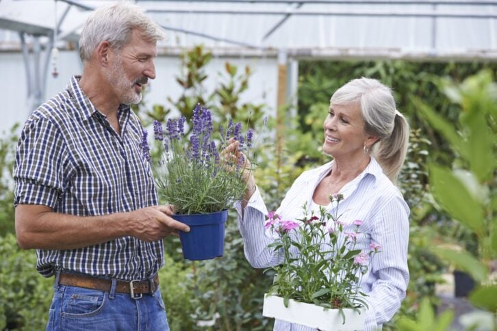 Mature Couple Choosing Plants At Garden Center