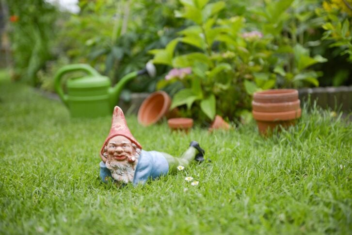 creepy garden gnome in yard grass