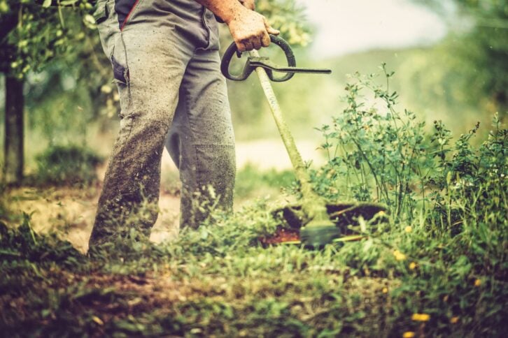 Gardener mows with string trimmer