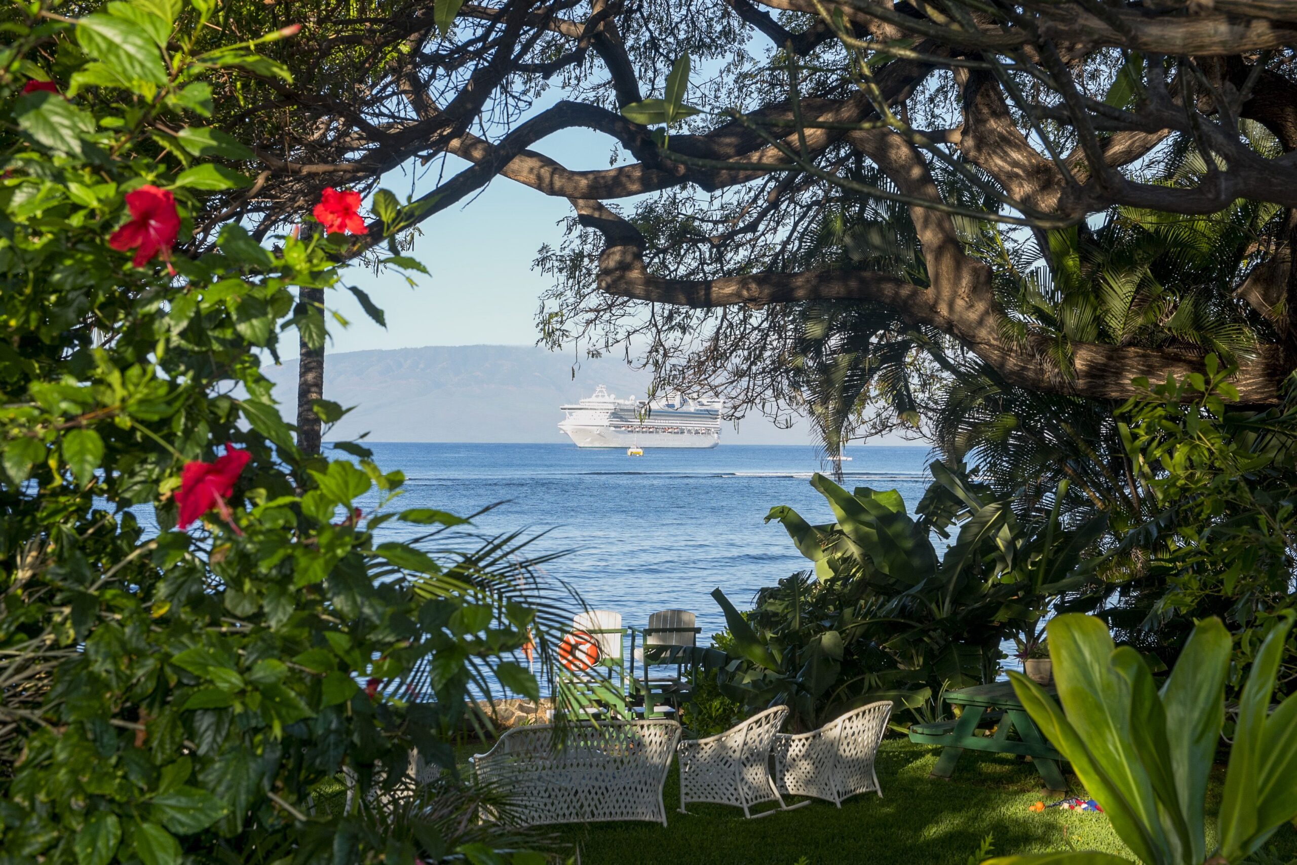 a princess cruise ship sits anchored in the harbor off the coast of lahaina on the hawiian island of maui in the early morning hours of march 21, 2017