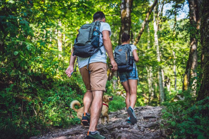 couple with a dog hiking in forest with backpacks