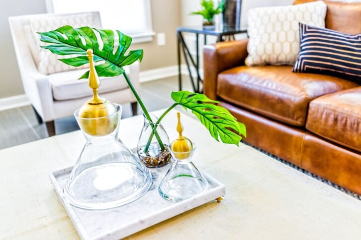 Macro closeup of serving tray stand with empty glasses and plant in staging model house or apartment by brown leather couch