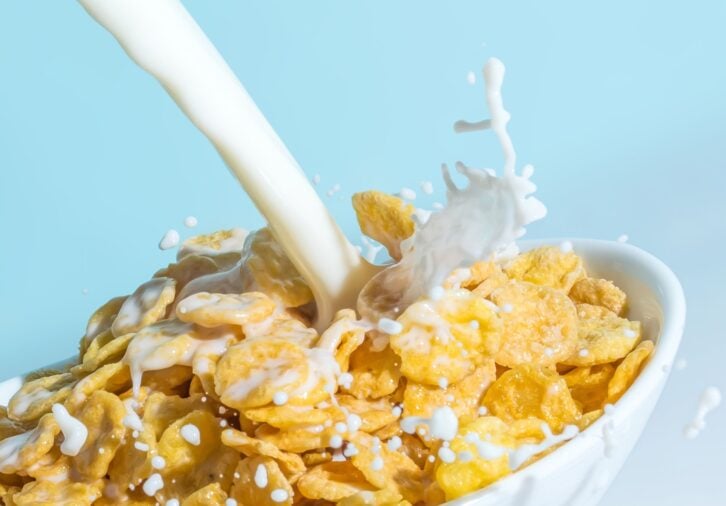Milk stream pouring into a bowl with сornflakes close-up. Milk splash on a cup with flakes macro on a blue background.