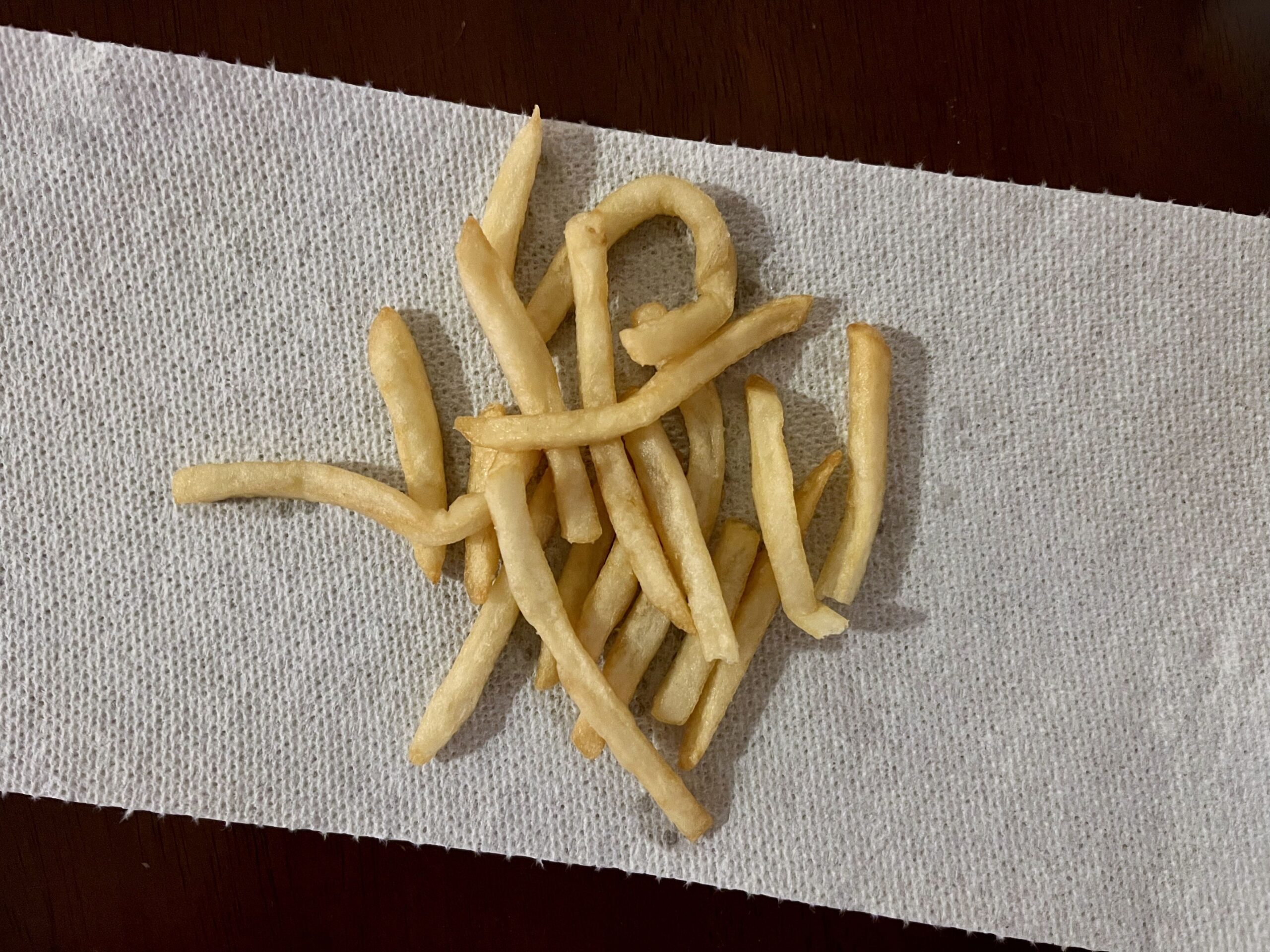 fries reheated in a microwave