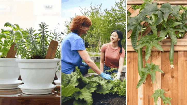 How to Garden Even If You Have No Backyard