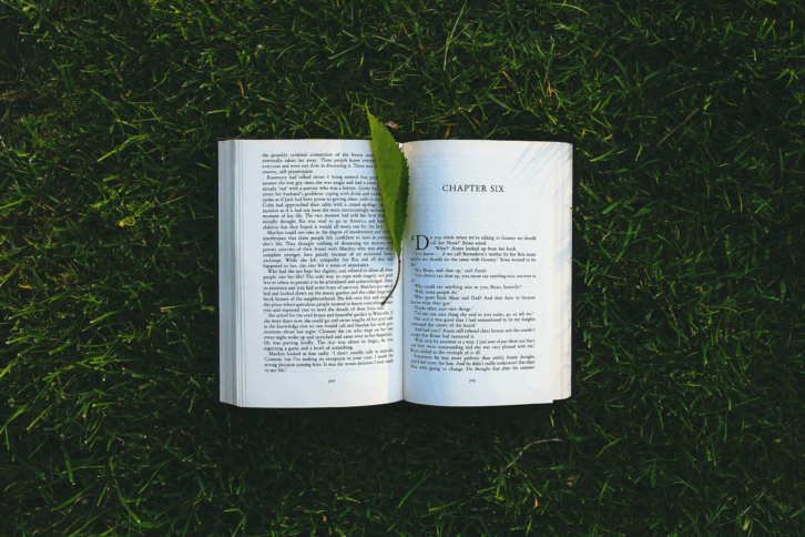 open book on grass