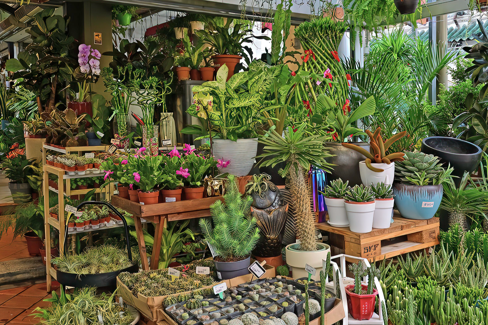 Plant store