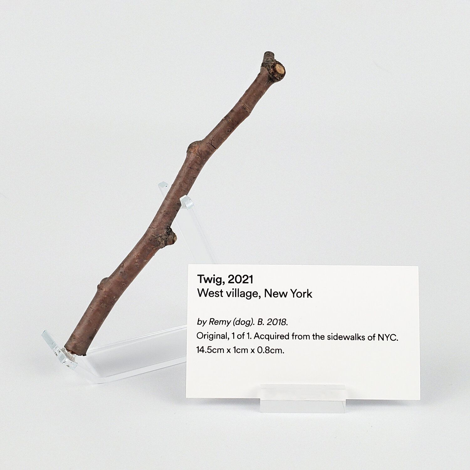 Non-Fungible Twig for Dogs