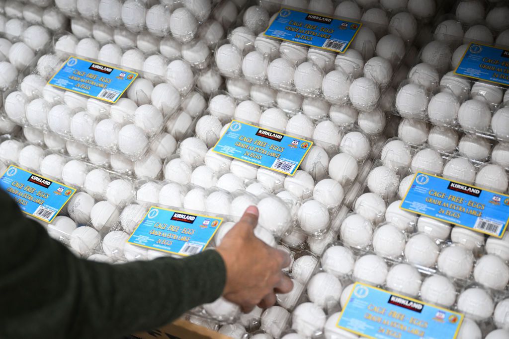 A person holding a package of eggs at Costco