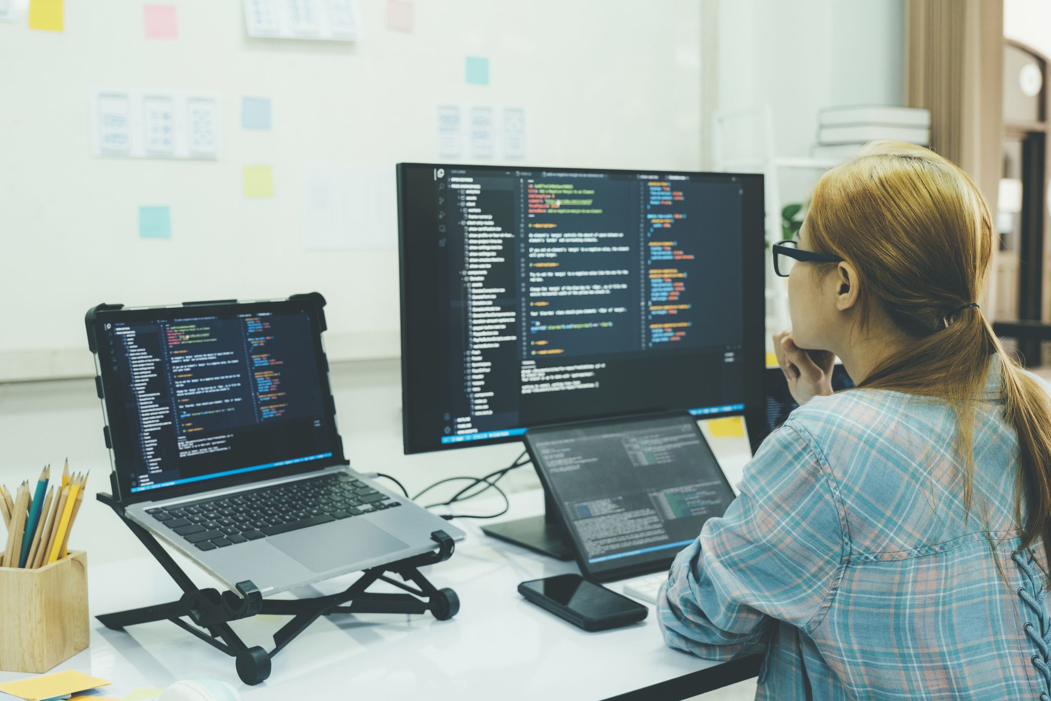 Software Developer