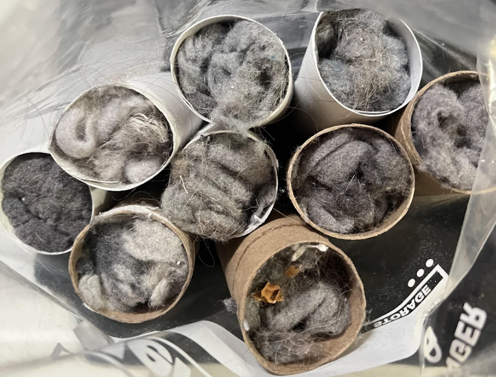 Toilet Paper Rolls Filled with Lint