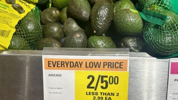 A display of avocados at a grocery store above a yellow sign that reads, "EVERYDAY LOW PRICE: Avocado 2 for $5.00, less than 2: $2.99 each.