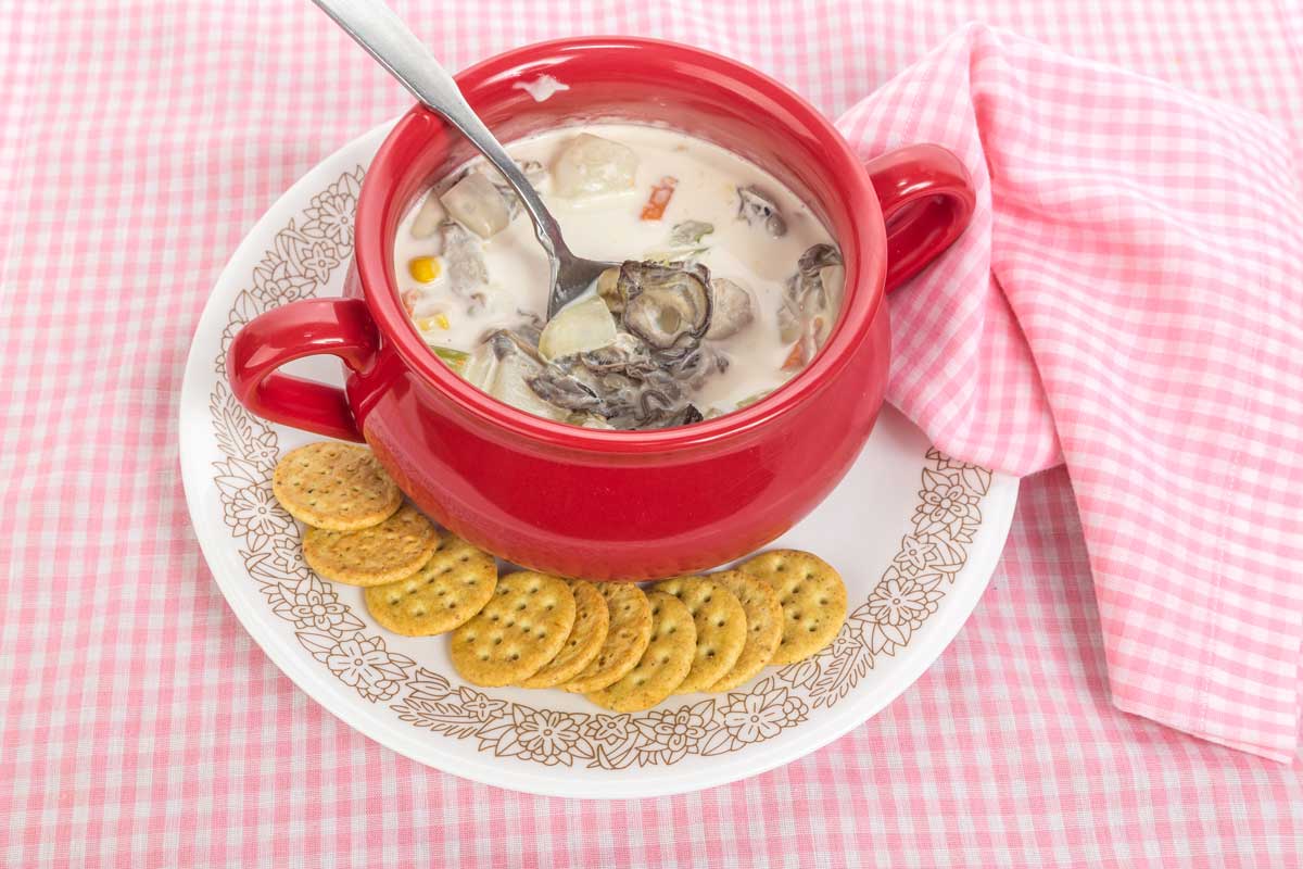 A red bowl of creamy soup with visible mushrooms and vegetables sits on a white plate with a floral design, surrounded by round crackers. A spoon rests in the bowl—true comfort for diners seeking the best diner food—on a pink gingham tablecloth with matching napkin.