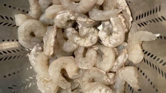 Raw, peeled, and deveined shrimp piled in a metal colander with circular perforations, ready for rinsing or cooking.