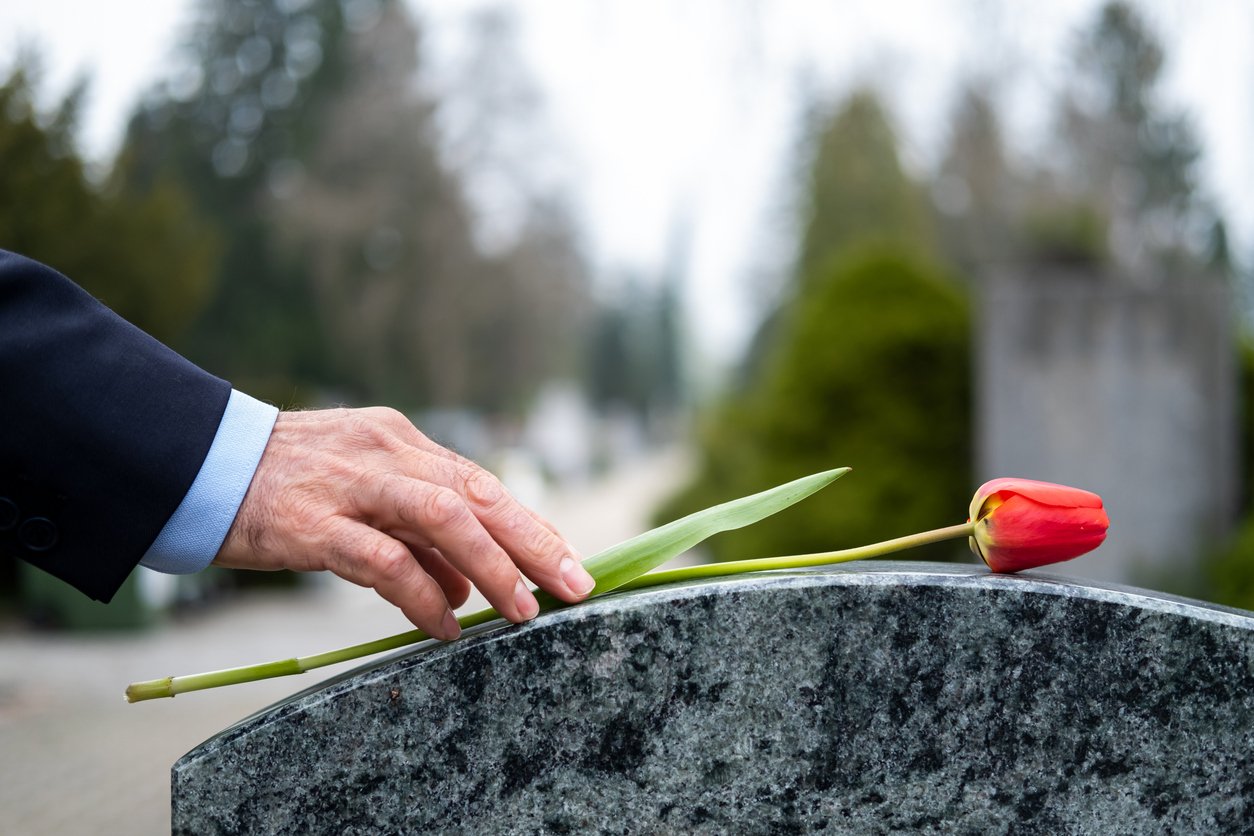 A close-up of a hand gently resting on a gravestone with a single red tulip laid across it, in a cemetery setting with blurred green trees and pathway in the background.