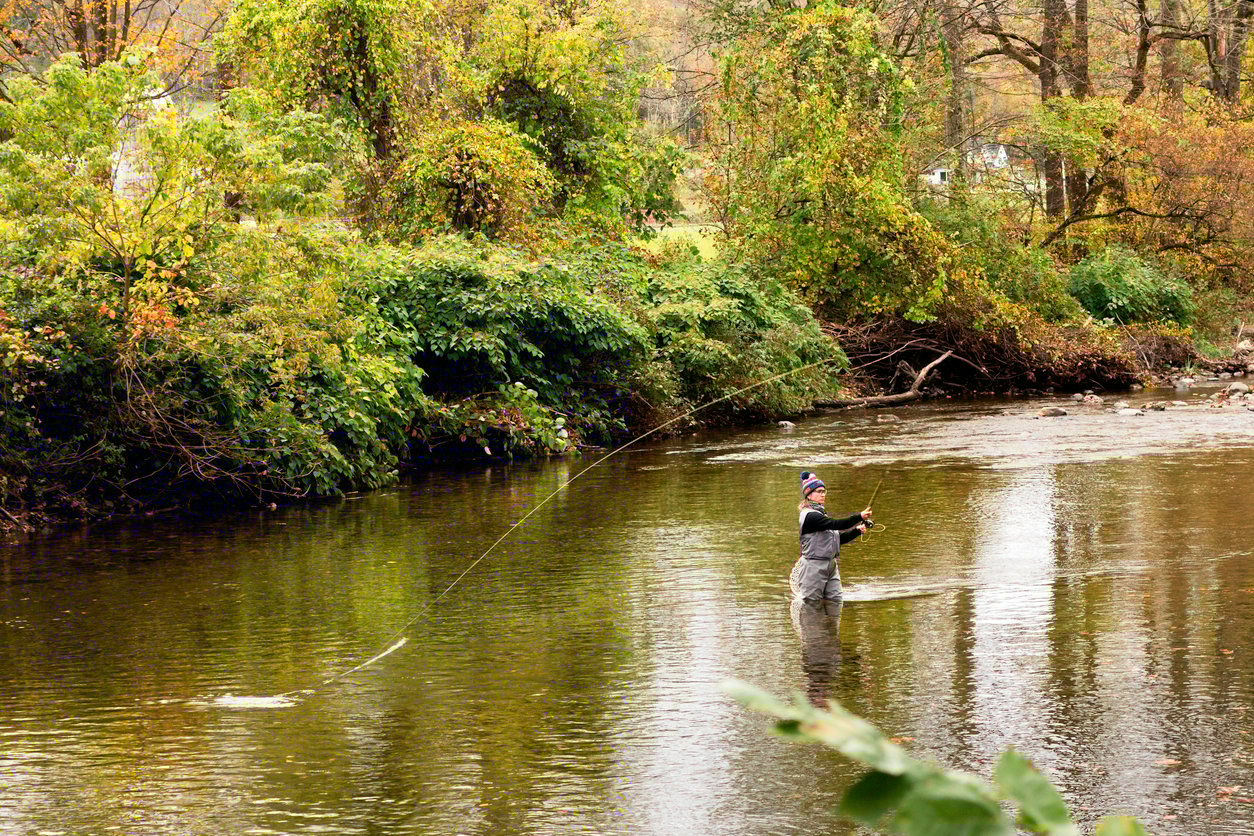 A person wearing waders stands in a shallow river surrounded by green trees, fly fishing with a long fishing rod and casting a line across the water.