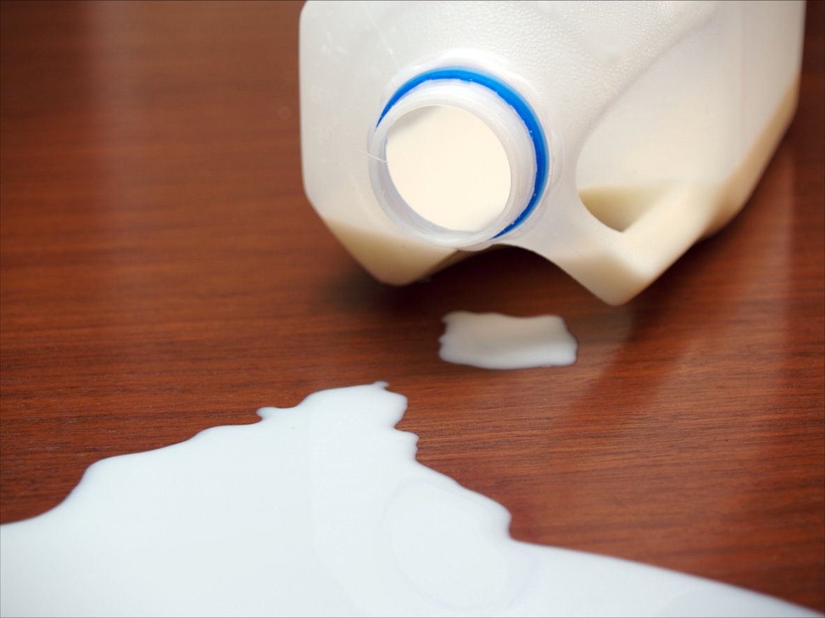 A plastic milk jug lies on its side on a wooden surface, with milk spilled out onto the table in front of it.